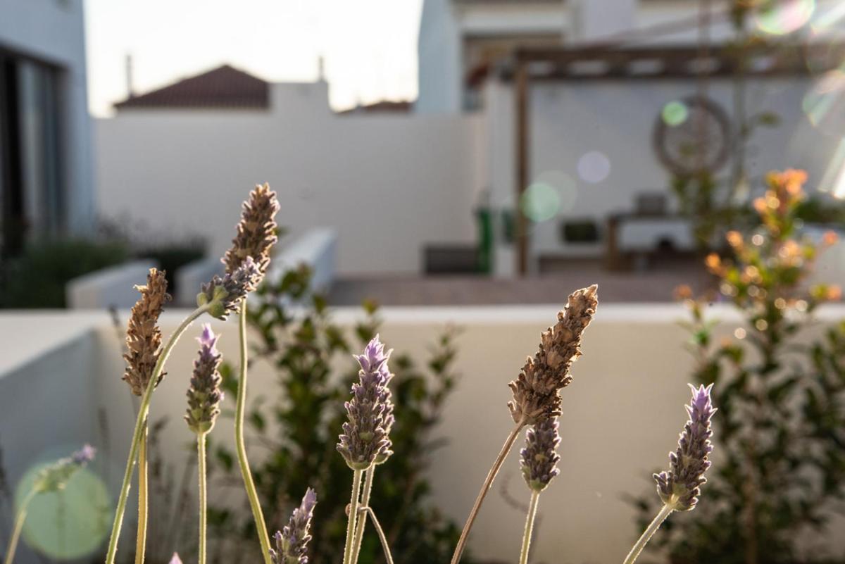 Vida Na Vila Vila Nova de Milfontes Exteriér fotografie